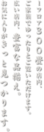 広い店内、豊富な品揃え